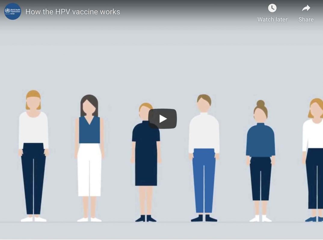 How the HPV vaccine Works